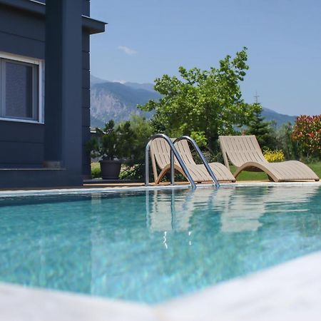 Zeusplace Pool Villa Olympus Riviera Litochoro Extérieur photo